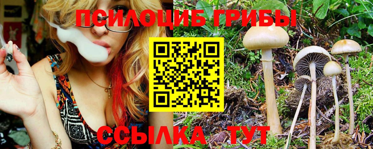 Галлюциногенные грибы MAGIC MUSHROOMS Минусинск