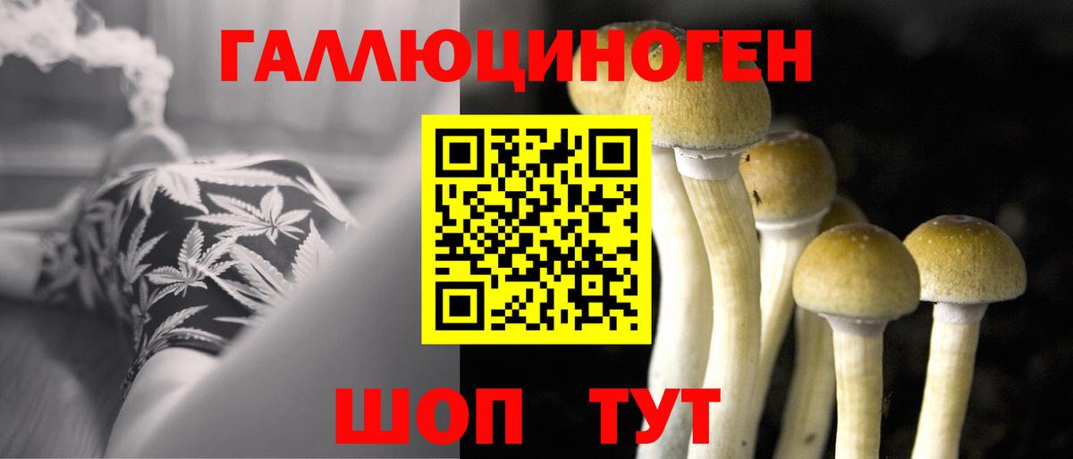 Псилоцибиновые грибы Magic Shrooms  Вход с VPN  Минусинск 